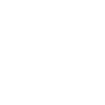 <p>BLUETOOTH  </p><p>CONNECTIVITY</p>