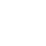 <p>5 ARM POSITIONS</p>